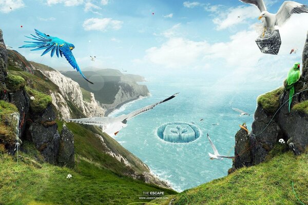Birds soaring over a high cliff