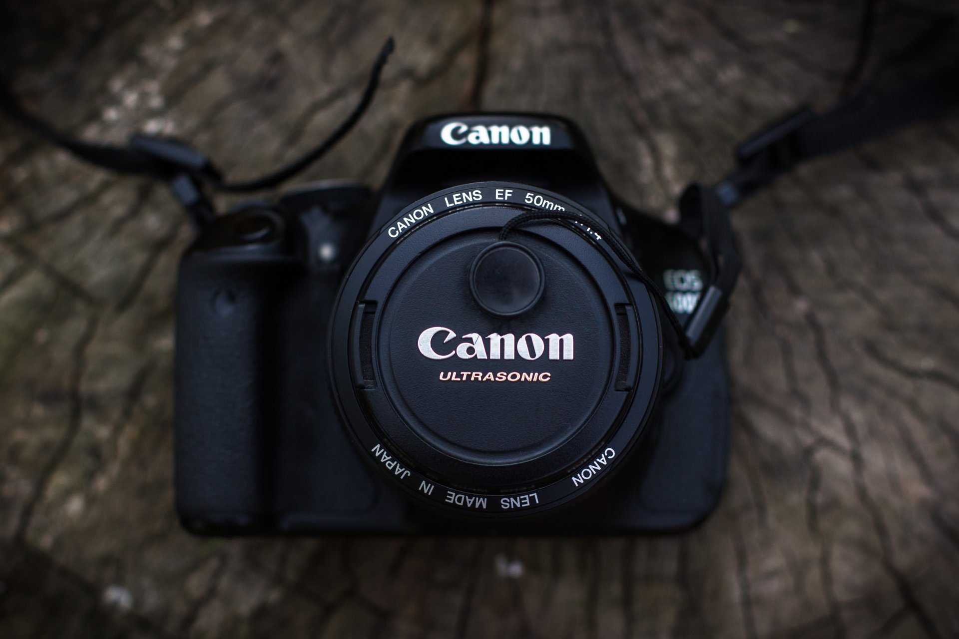 a camera canon tree len