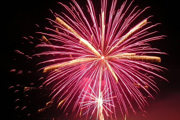 Fireworks during the holiday in the night