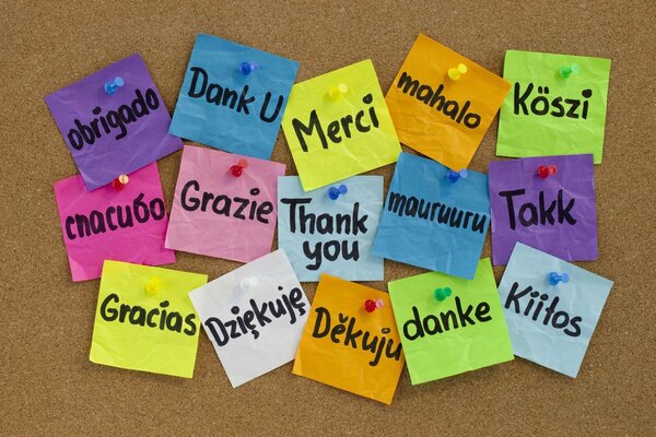 Colorful stickers with English words on the board