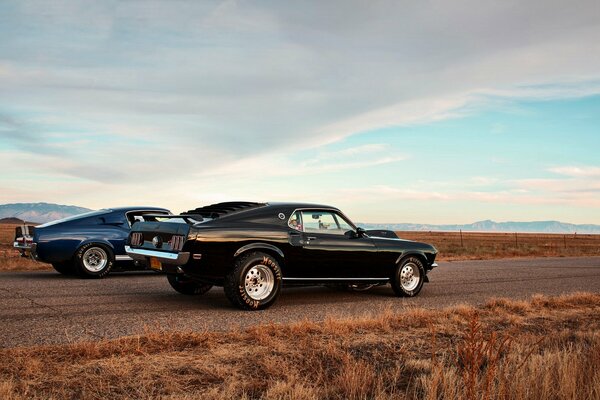 Mustang racing car in the photo