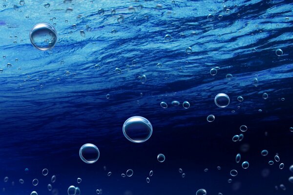 Underwater world in minimalism