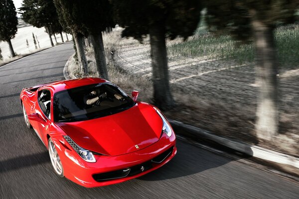 Ferrari asphalt, sports car, in motion, red