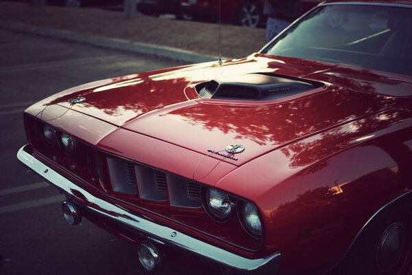 Hemi Cuda vintage Car Hood