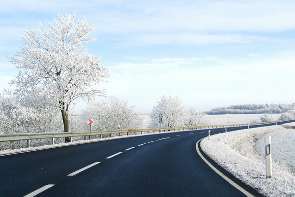 Landscape of a snowy highway with trees