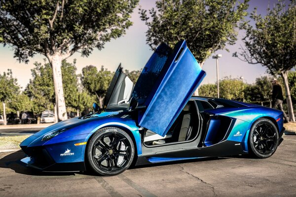 Blue lamborghini near the trees