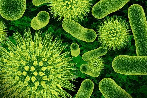 Green microorganisms will determine the future of biology