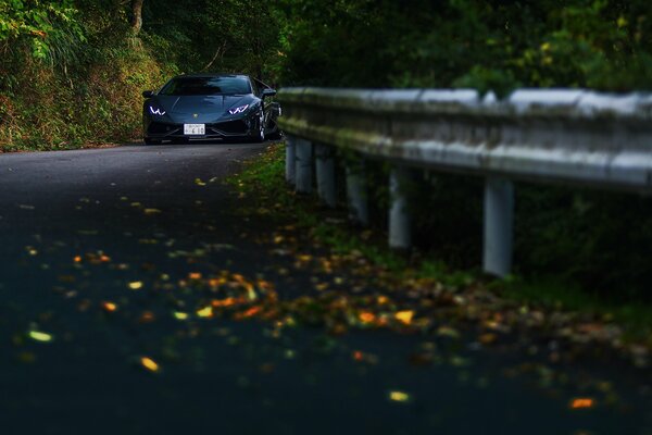 A black car is driving on the road in the autumn season