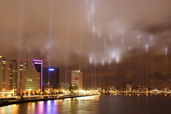 Neon rays of the night city