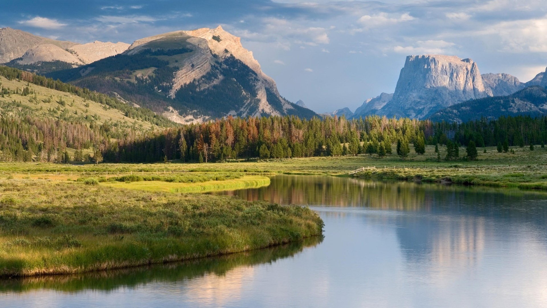 beautiful mountains christmas tree plantings pure water mountains rivers river shore nature landscape grass meadow valley tranquility silence grace hill