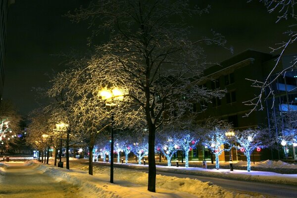 Winter wind walk along the snowy alley