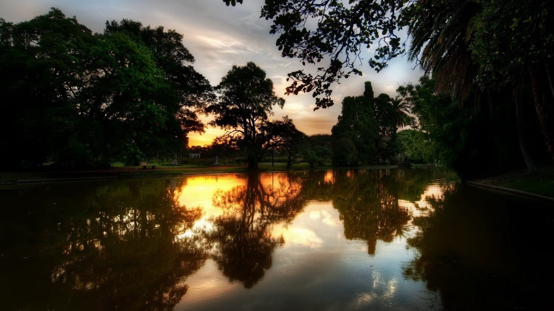 the red light of the sun the mirror of nature trees sunset water park reflection the evening nature