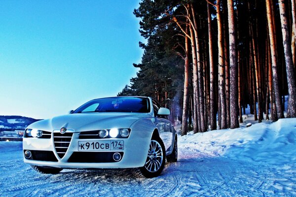 Alfa Romeo in the snowy forest
