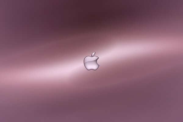 Photo apple logo on pink background