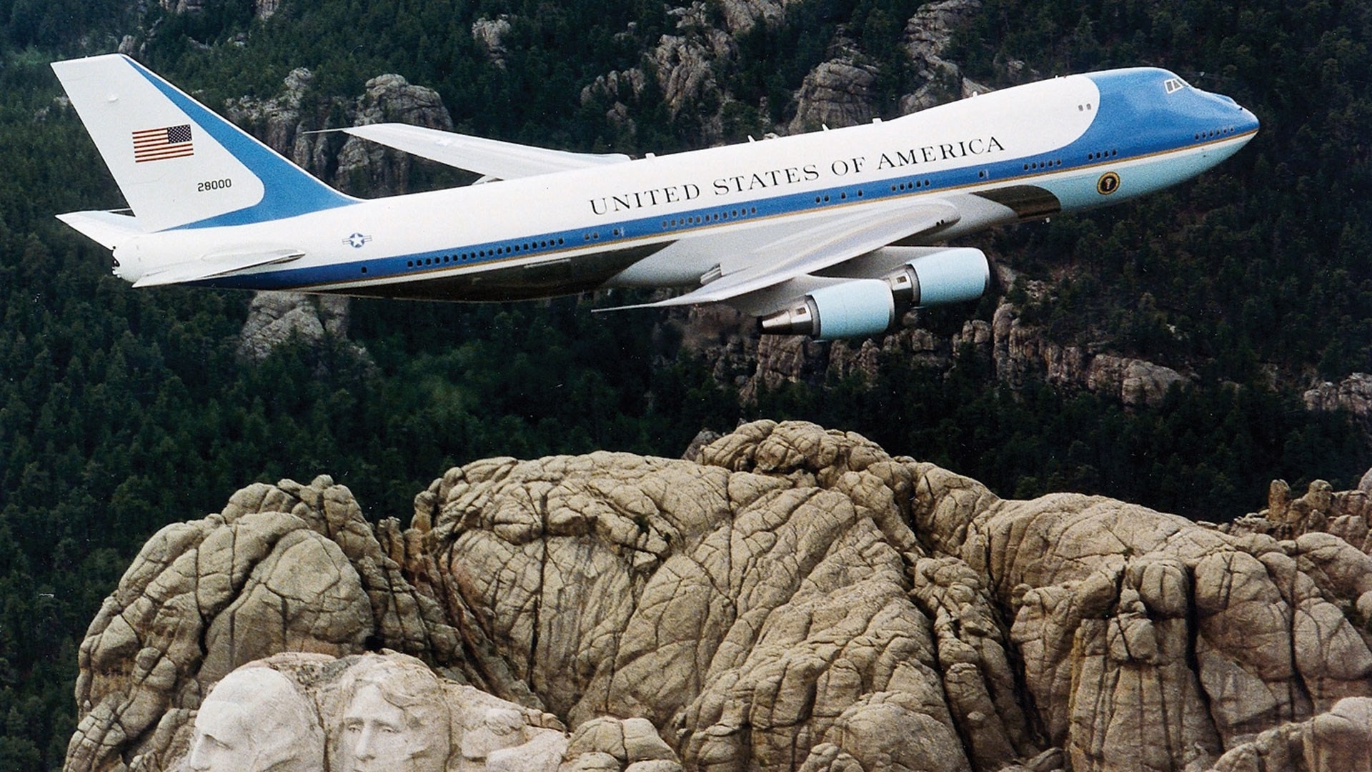 plane united states tree close to mountain