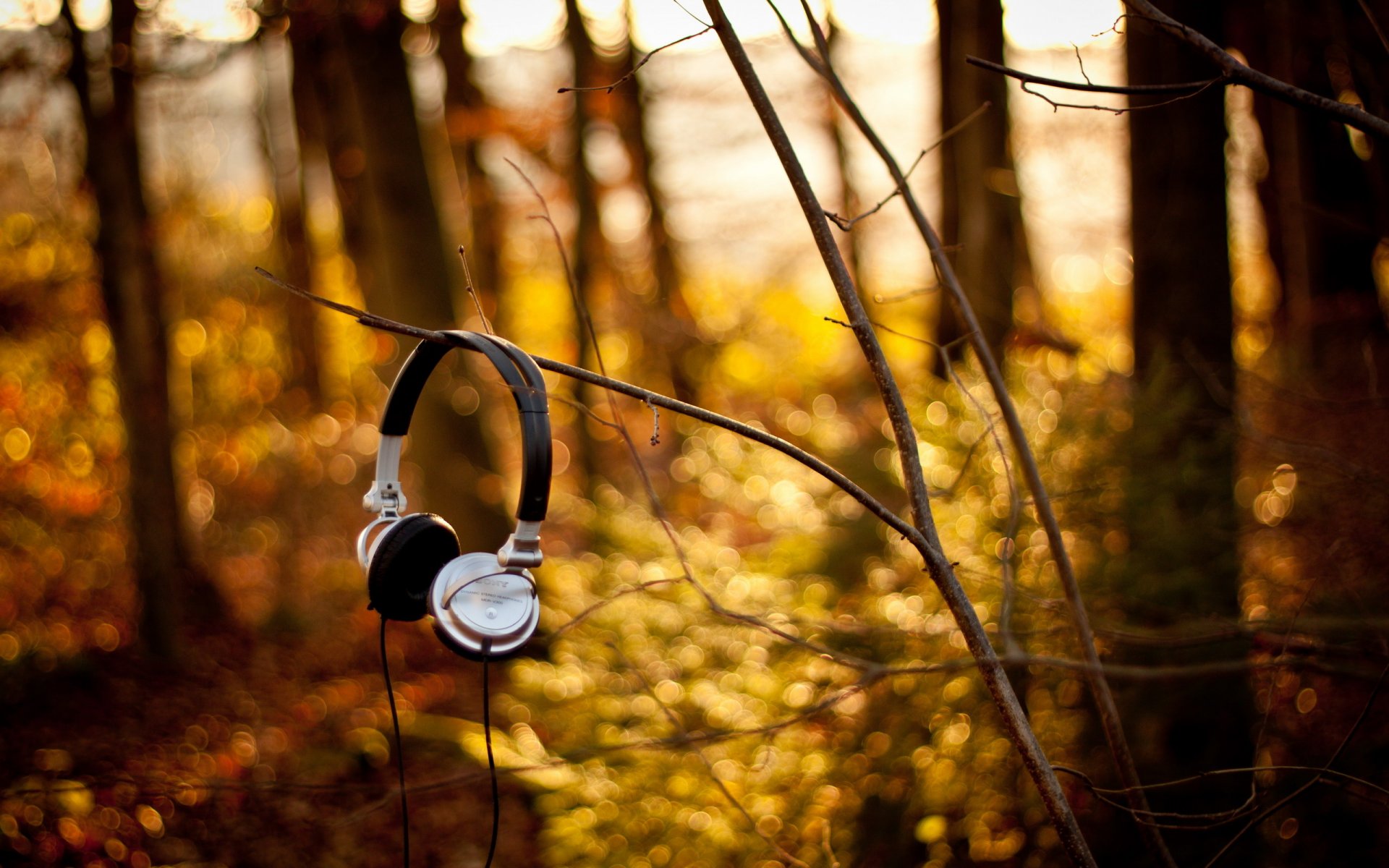 headphones sony forest branche