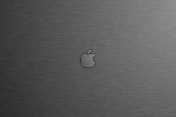 Apple apple logo on a silver background