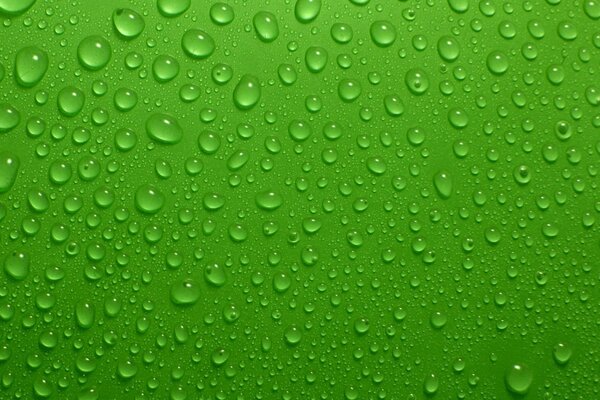 Water droplets on a green background