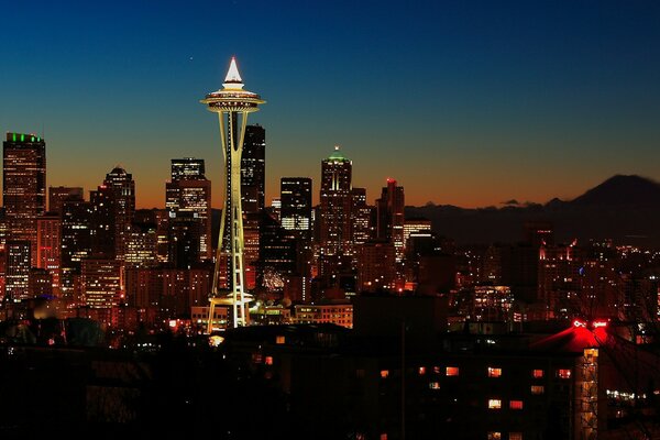 The city lives in a sea of its lights