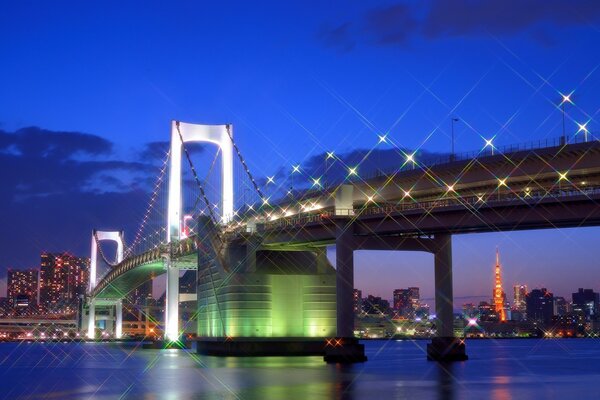Tokyo Bridge Night Lights
