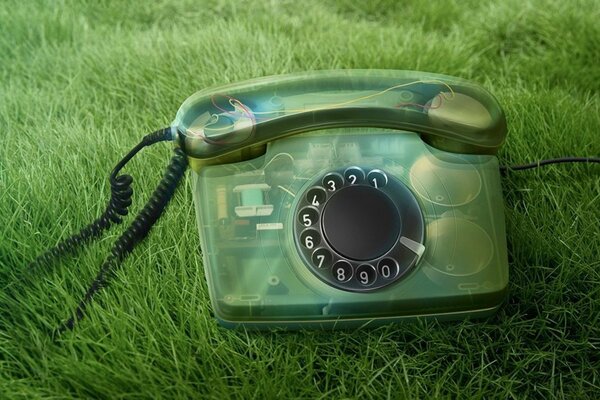 Phone in a transparent case on the green grass