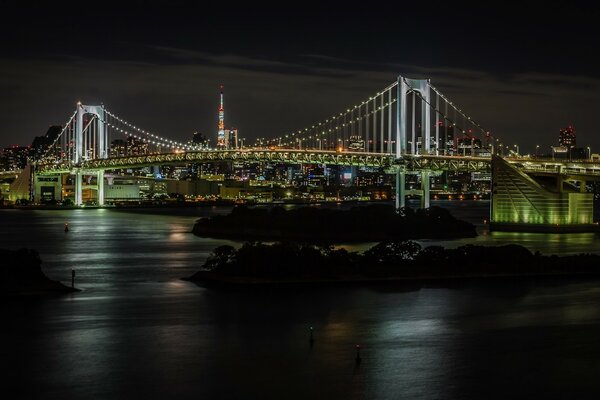 Japanese Rainbow Bridge at night
