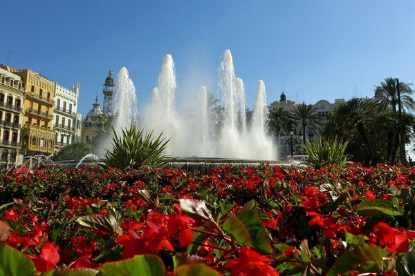 A beautiful fountain behind bright red flowers