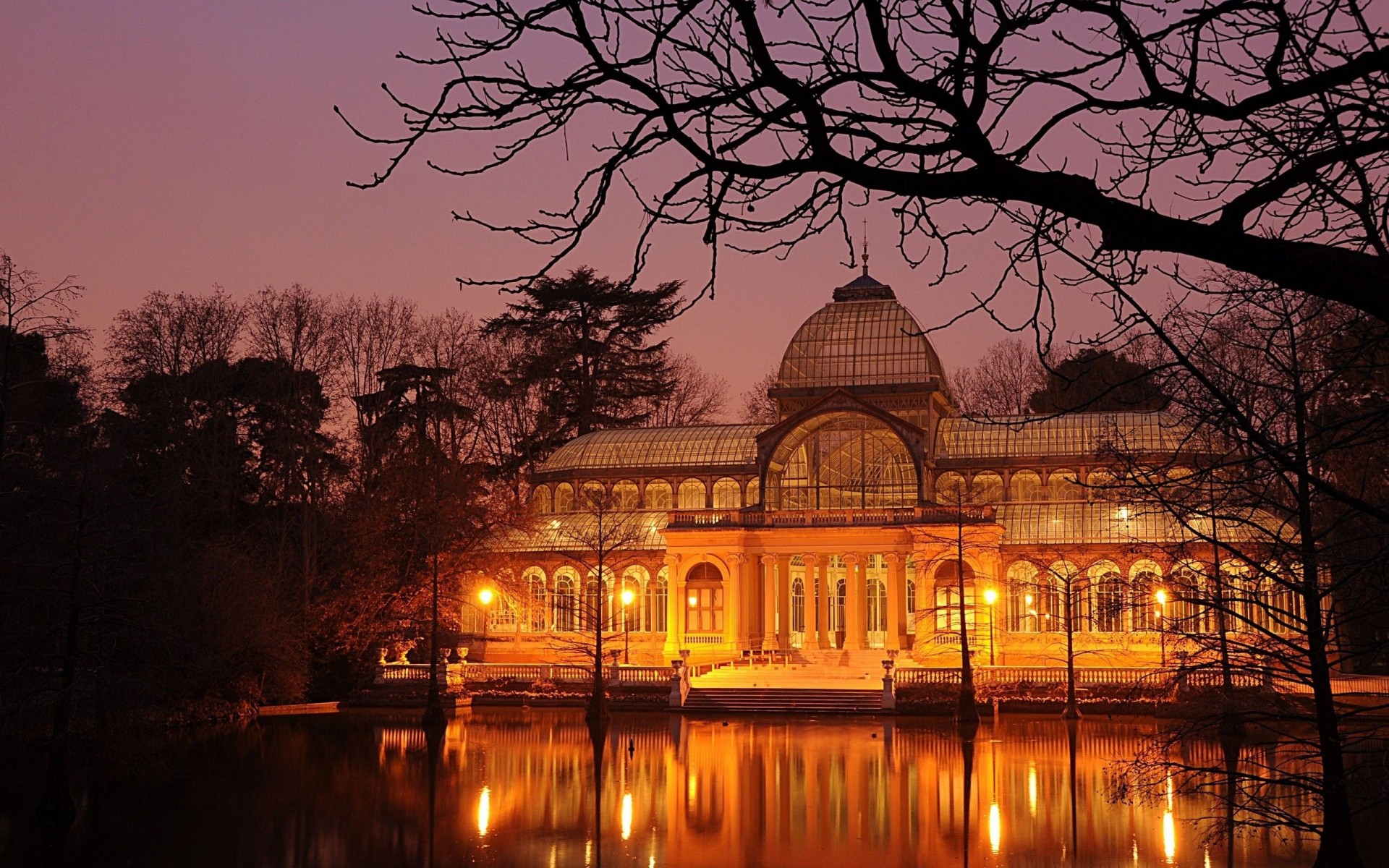 in the evening lake park night palm twilight