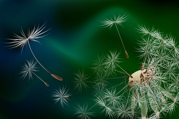 Creating animations, 3D anamations, drawings, headings for your website