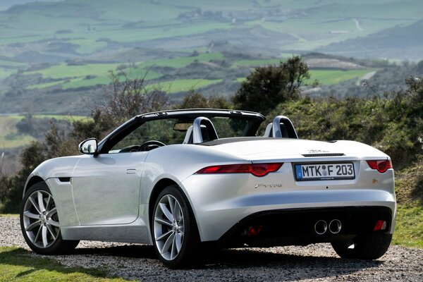 Sports car from the Jaguar company rear view