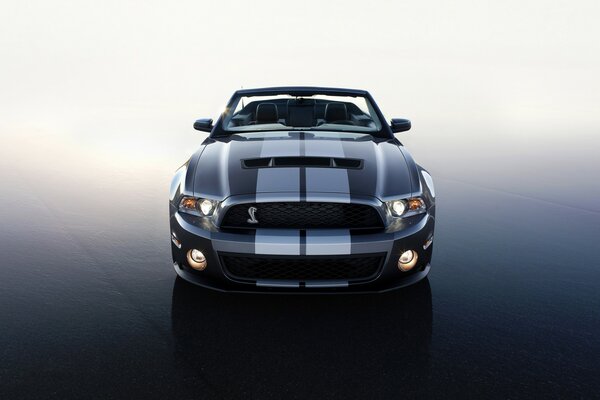 Just a Ford Shelby dt 500 and nothing else