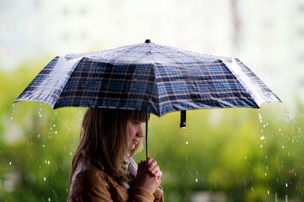 Brunette girl with an umbrella in the rain