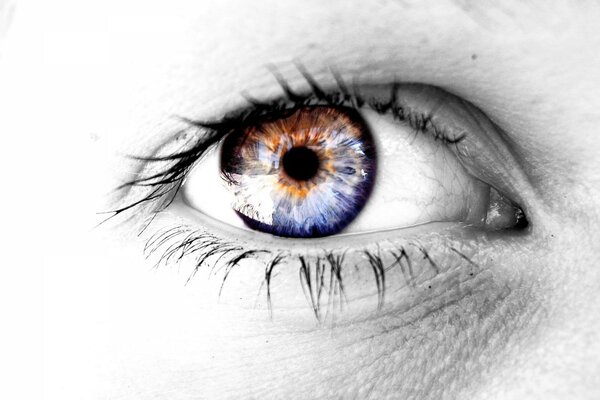 Female eye close-up
