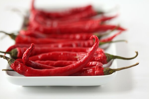 Chili pepper on a white plate
