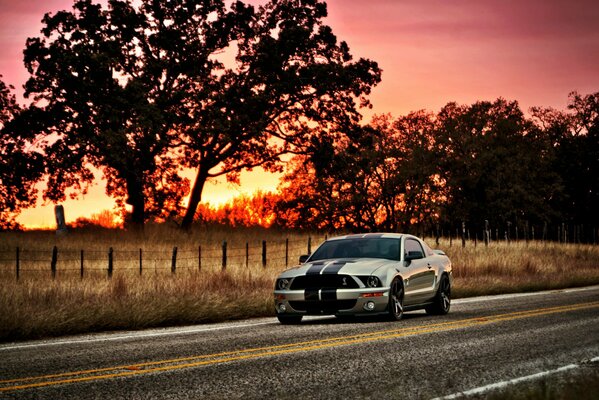 Silver Ford Mustang rides on the road against the sunset