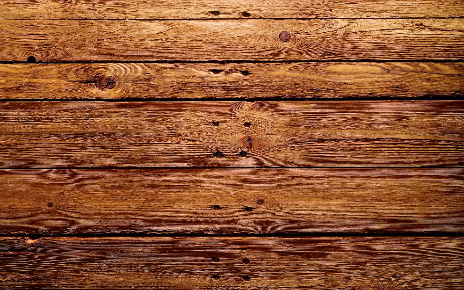 texture background tree board