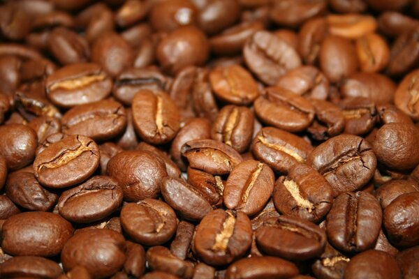 A lot of coffee beans in bulk