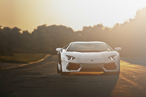 White lamborghini aventador LP700-4 on the road at sunset