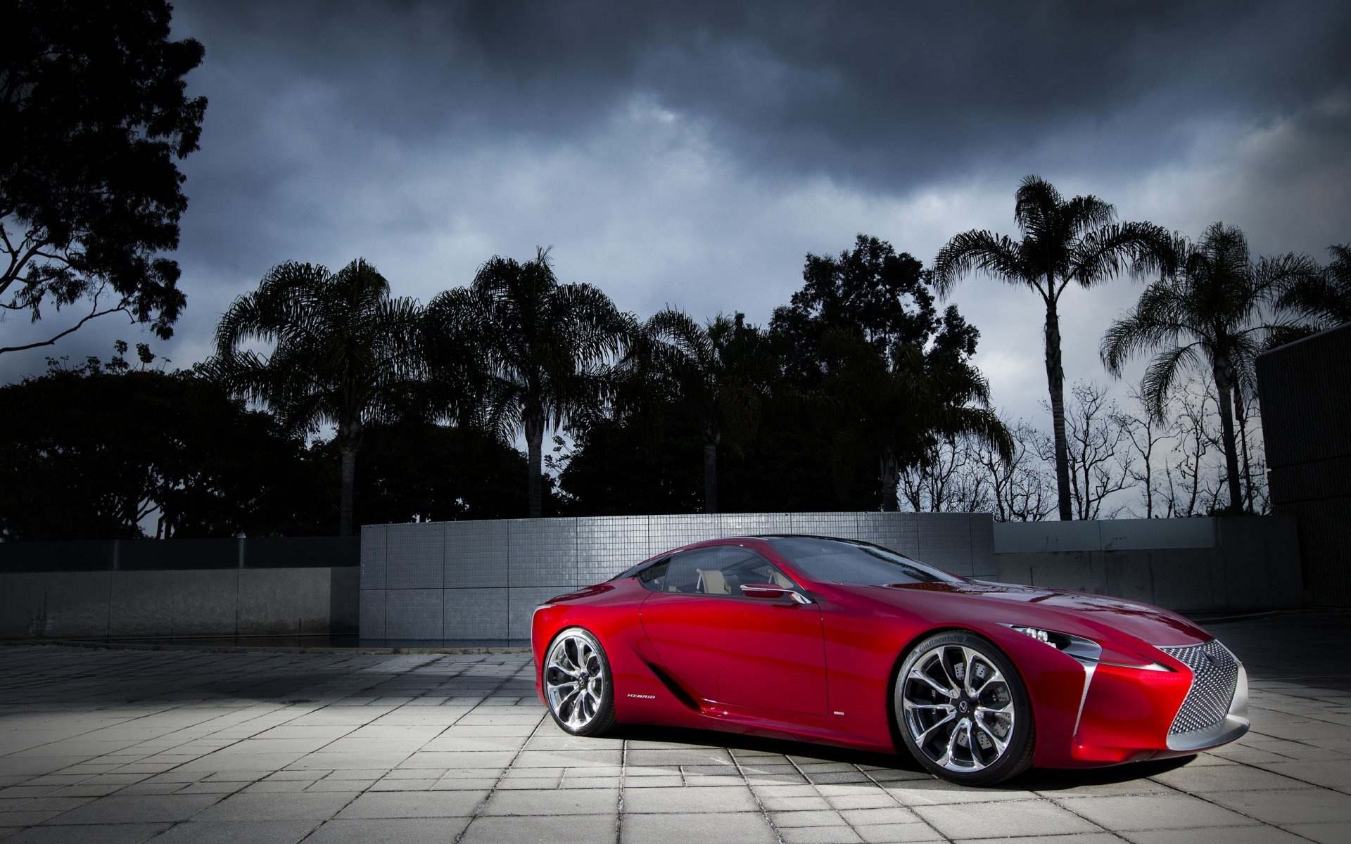 lexus night palm light