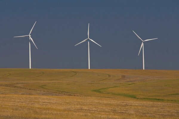 Three windmills in a wheat field