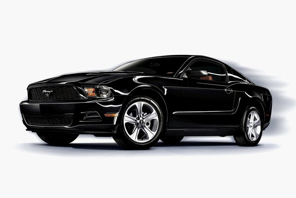 Black mustang on a white background