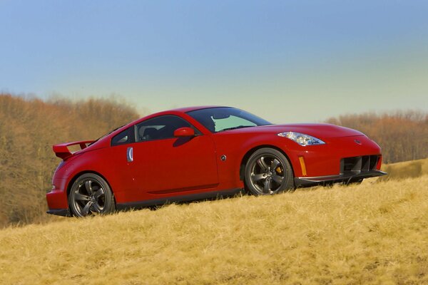 Red nissan on the background of yellowed grass