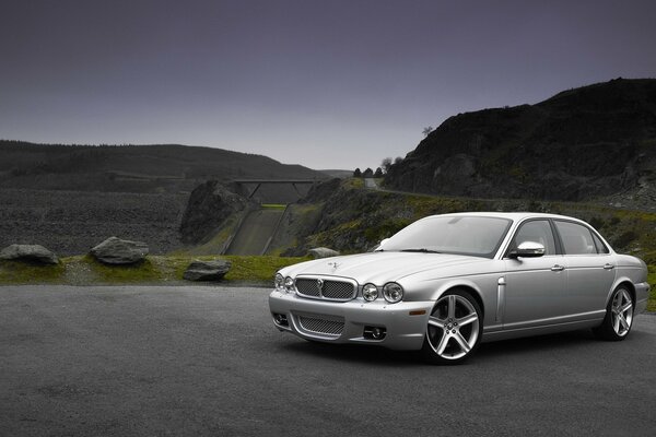 Grey Jaguar on a mountain road