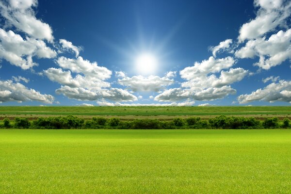 Sun clouds sky grass