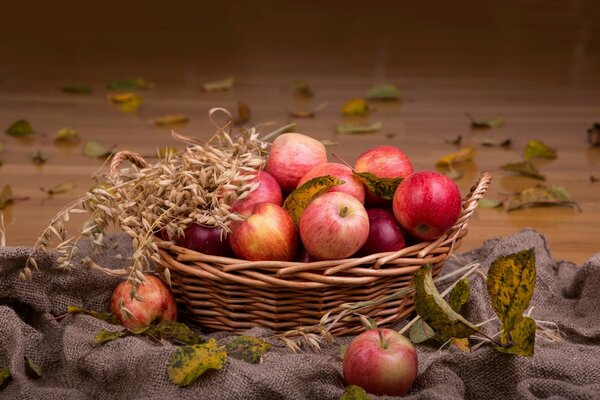 Autumn still life apples in a basket