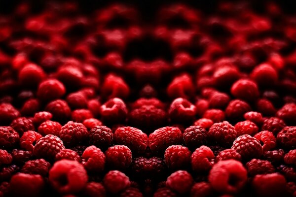 Lots of raspberries of different shapes