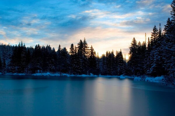 Lake in winter , surrounded by forest