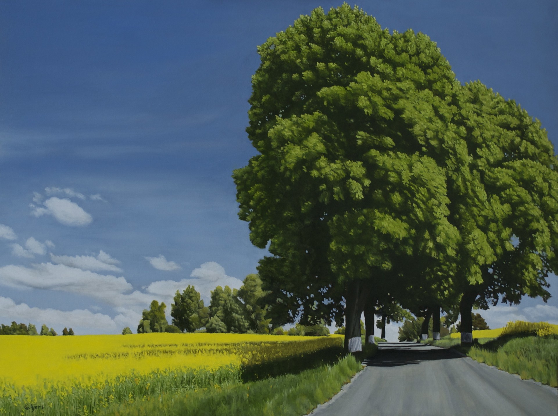 landscape green pattern nature tree grass summer sky road cloud