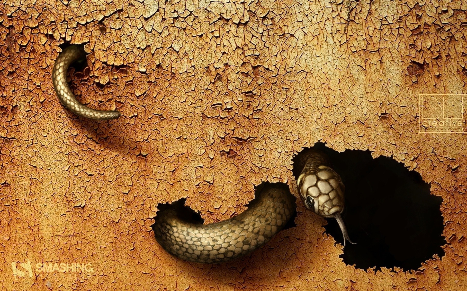 textures graphics snake