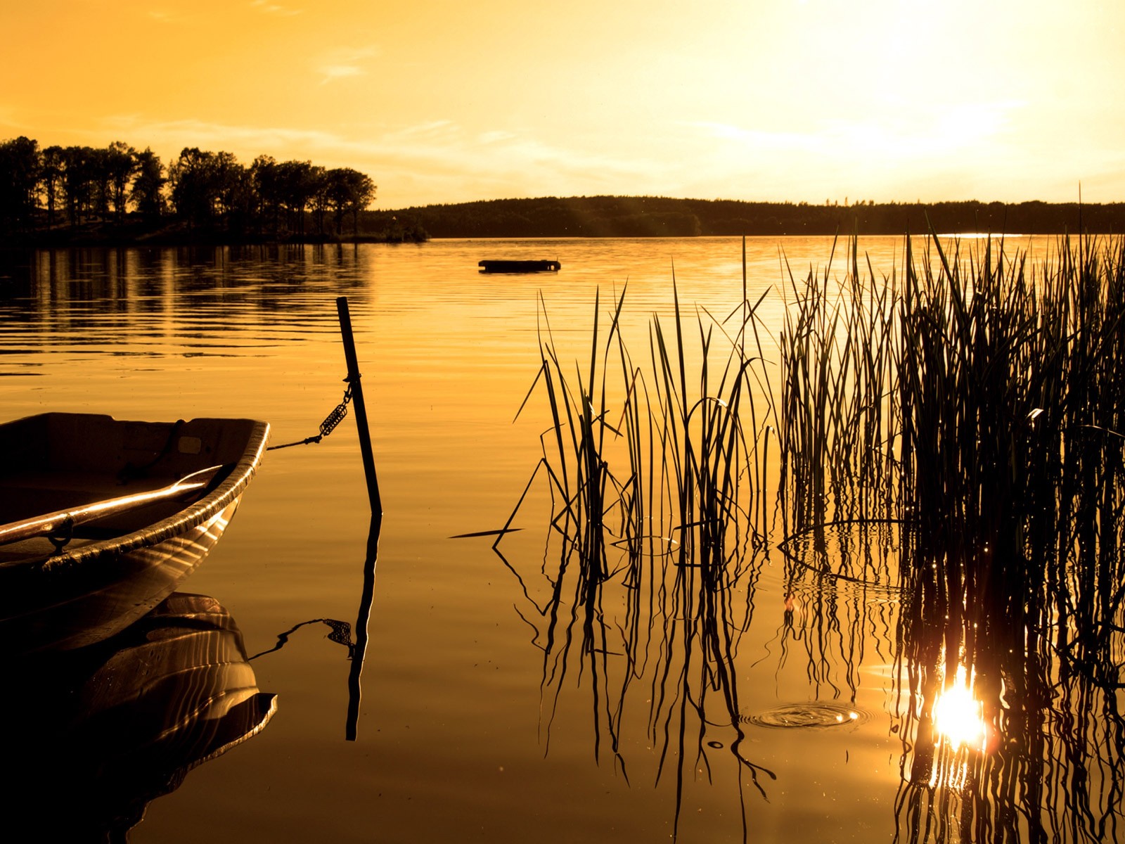 boat lake forest sunset sepia